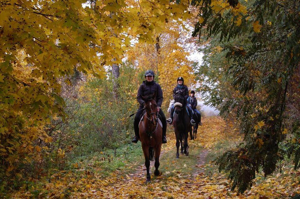 Ranch Pod Lesom Slovensky Raj Spissky Stiavnik ภายนอก รูปภาพ
